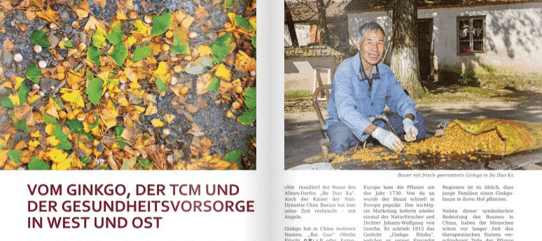 gingko-und-tcm