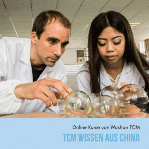 tcm-wissen-aus-china