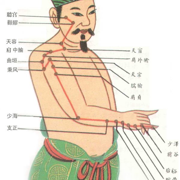 erlerne pathogene faktoren in der tcm