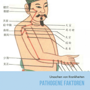 pathogene faktoren in der tcm