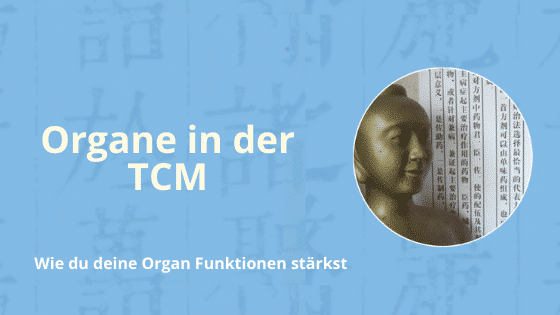 Organ Funktionen in der TCM