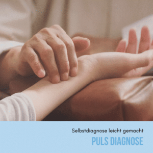 TCM Puls Diagnose Kurs