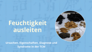 Feuchtigkeit ausleiten mit der TCM