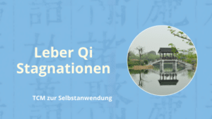 Leber qi stagnationen in der TCM