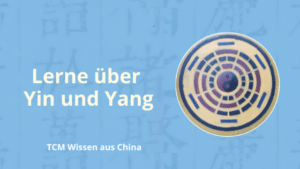 lerne über yin und yang in der TCM