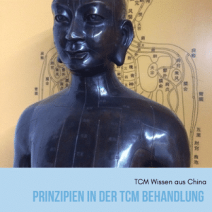 Prinzipien in der TCM Behandlung