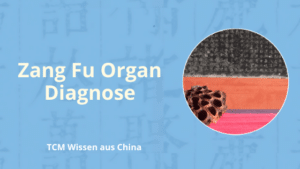 Zang Fu Bian Zheng Organ Diagnose