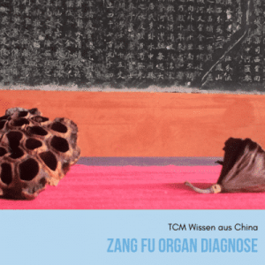 Zang Fu Organ Diagnose