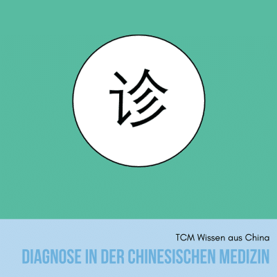 Diagnose in der Chinesischen Medizin