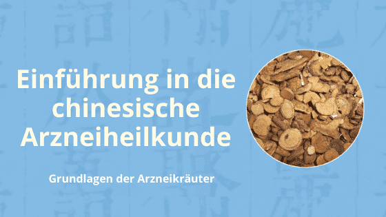 Einführung in die chinesische Arzneiheilkunde