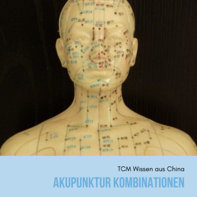 Akupunktur Kombinationen Kurse