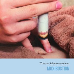 Moxibustion Online Kurs