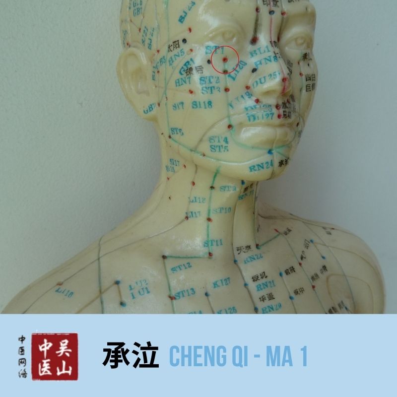 Cheng Qi - Magen 1