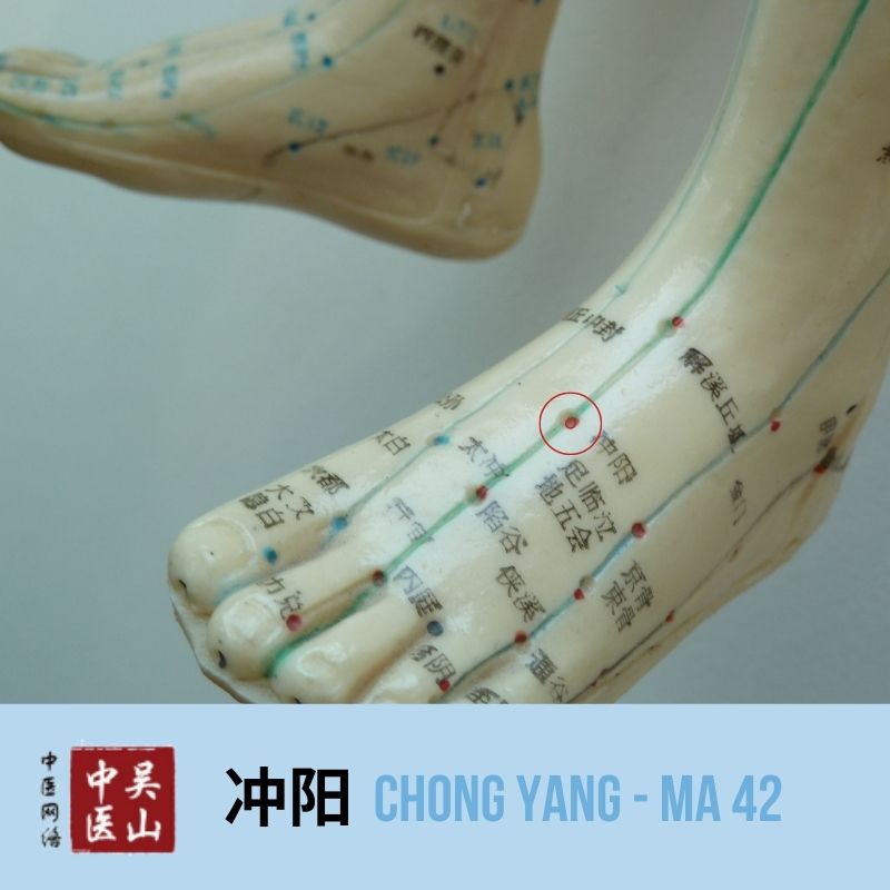 Chong Yang - Magen 42