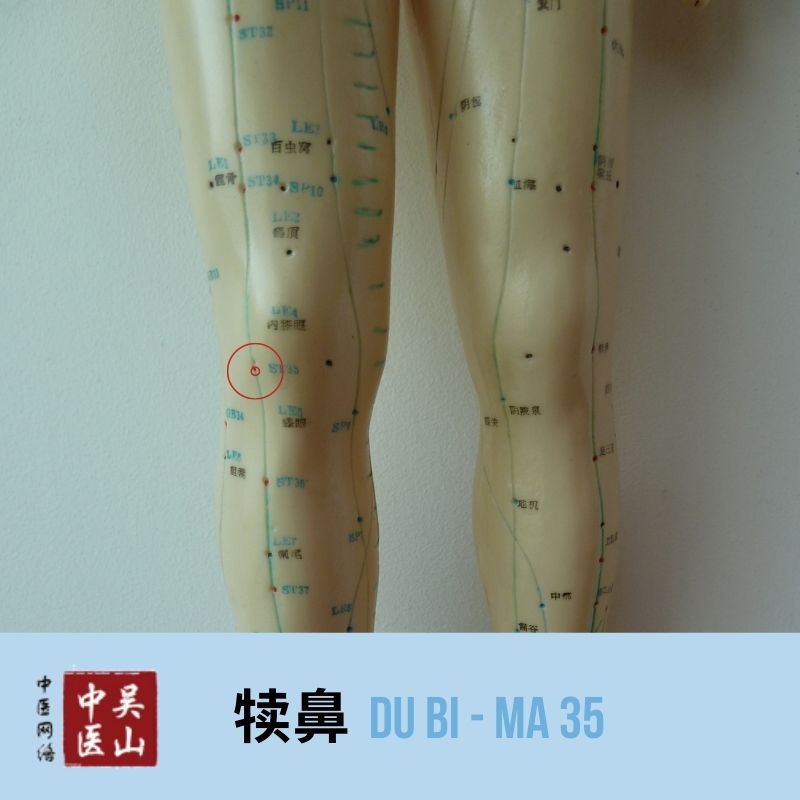 Du Bi - Magen 35