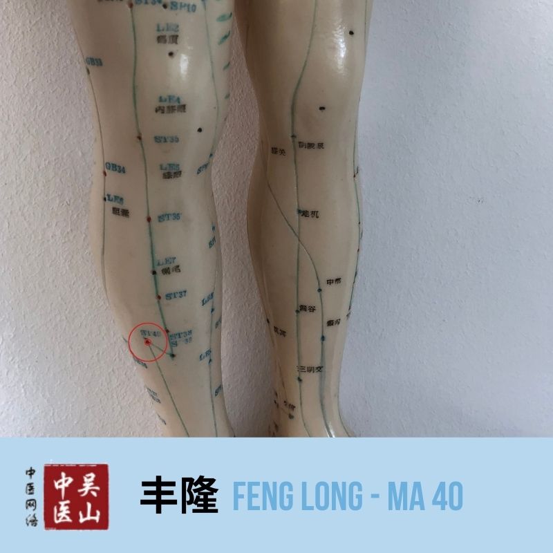 Feng Long - Magen 40