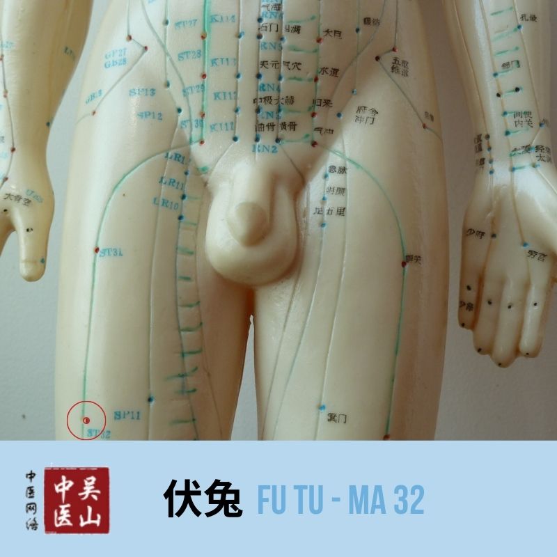 Fu Tu - Magen 32