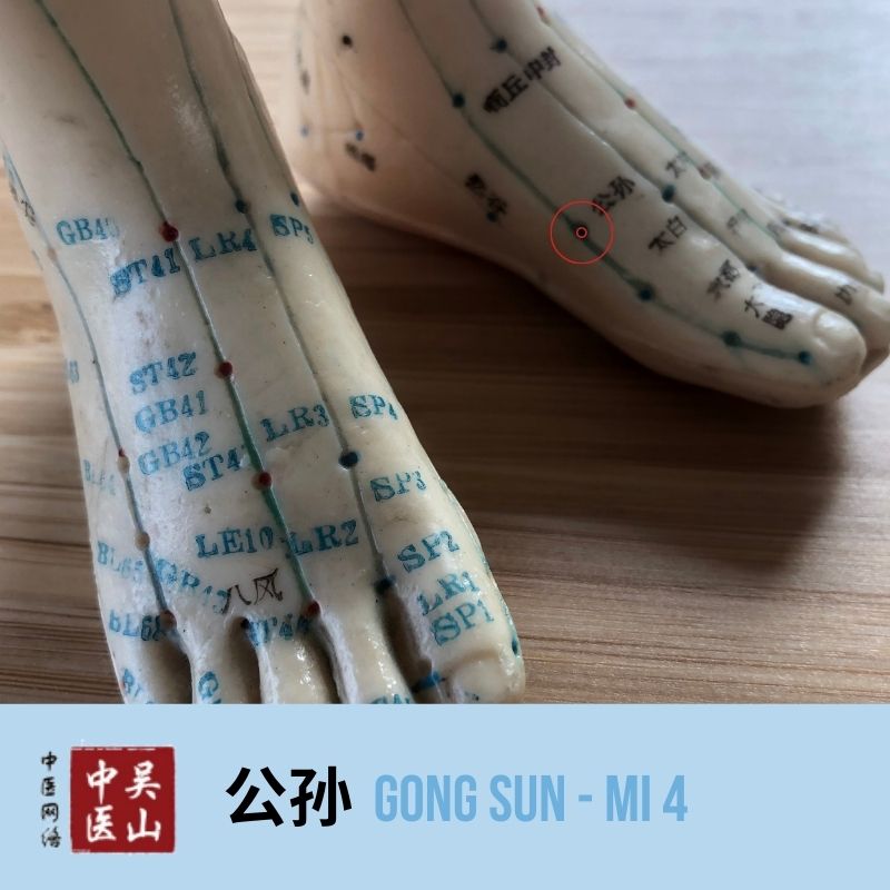 Gong Sun - Milz 4