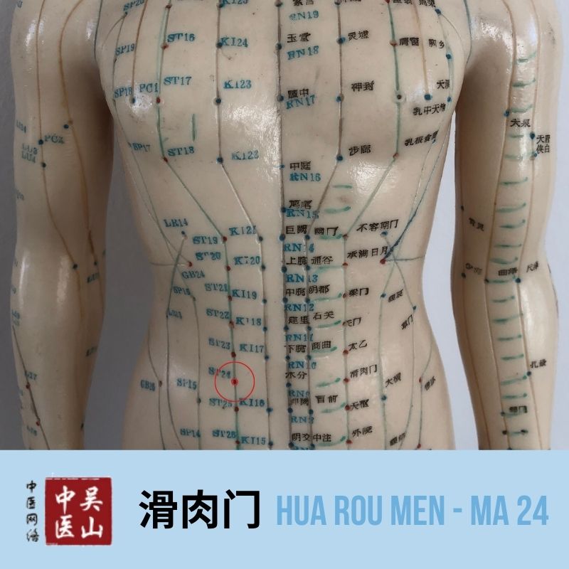 Hua Rou Men - Magen 24