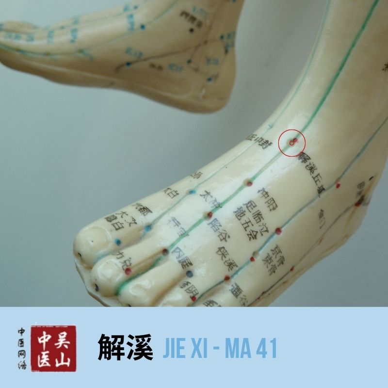 Jie Xi - Magen 41