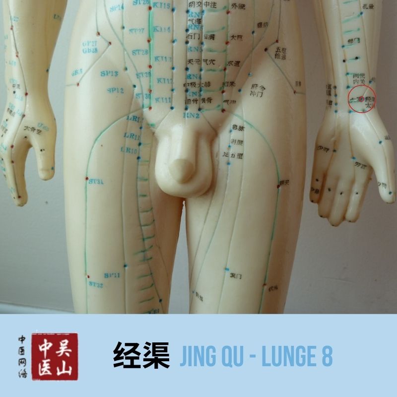 Jing Qu - Lunge 8