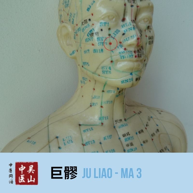 Ju Liao - Magen 3