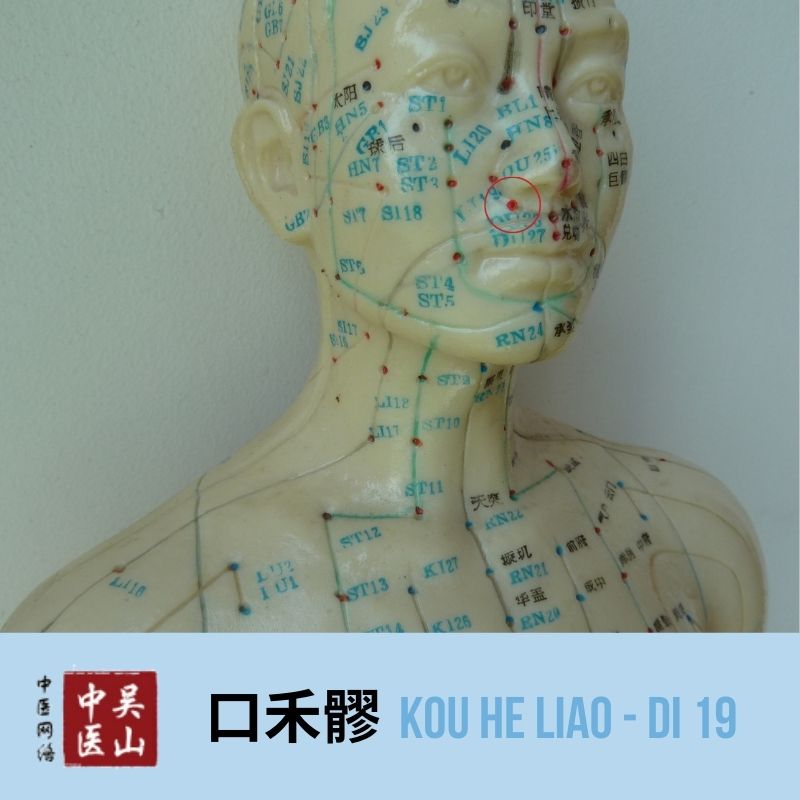 Kou He Liao - Dickdarm 19