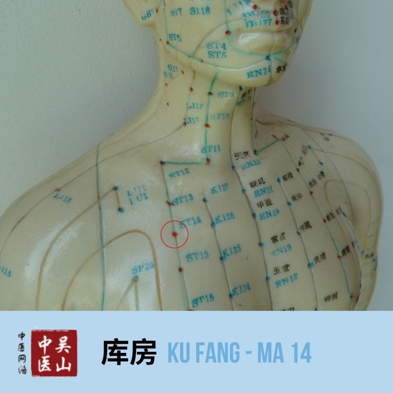 Ku Fang - Magen 14