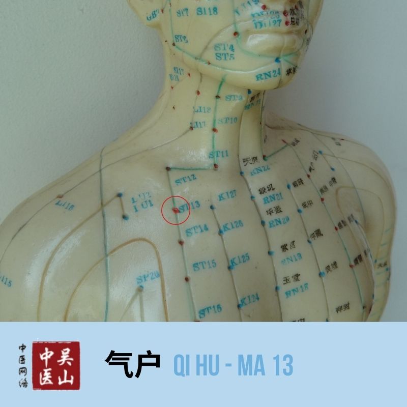 Qi Hu - Magen 13