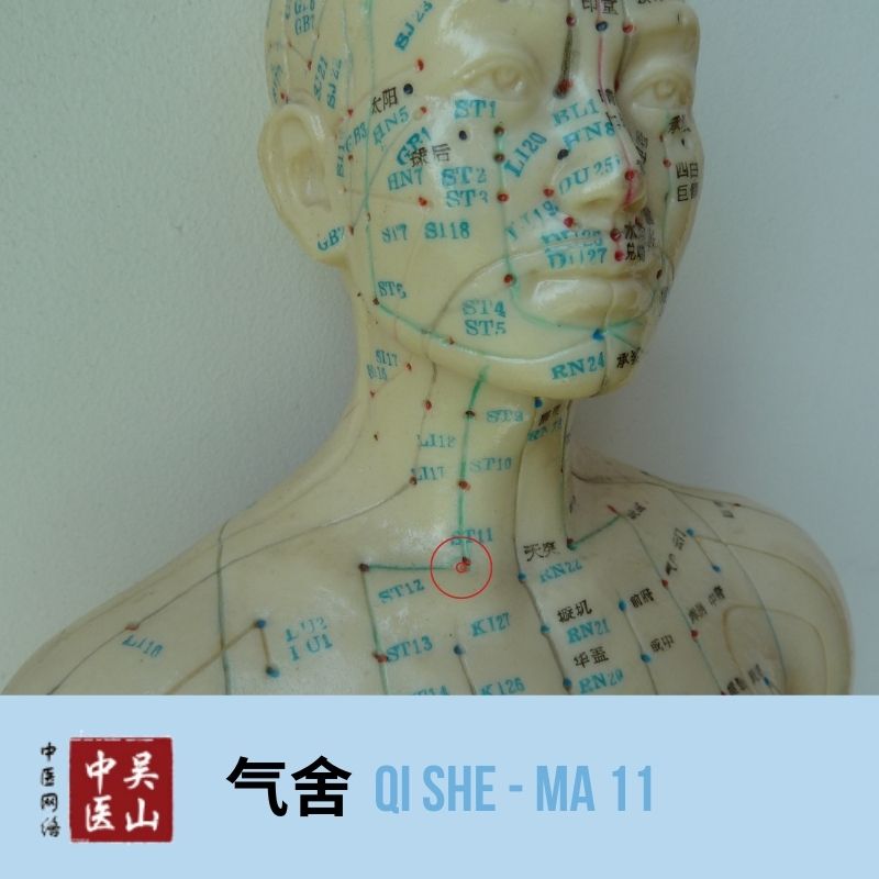 Qi She - Magen 11