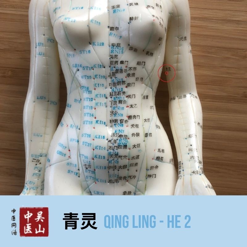 Qing Ling - Herz 2