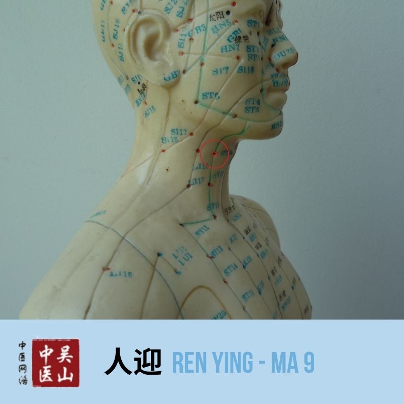 Ren Ying - Magen 9