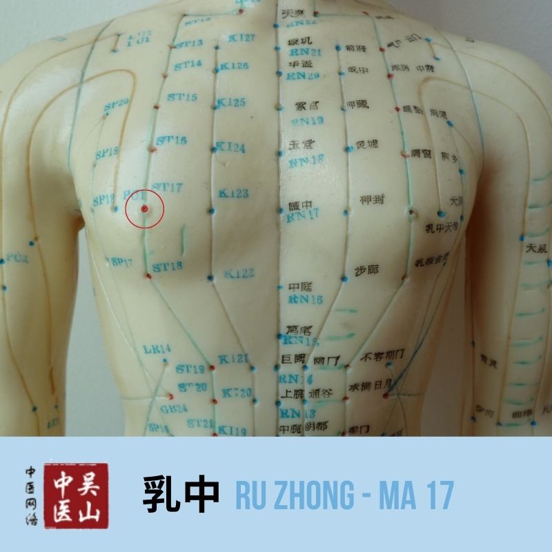 Ru Zhong - Magen 17