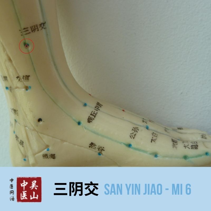 San Yin Jiao - Milz 6