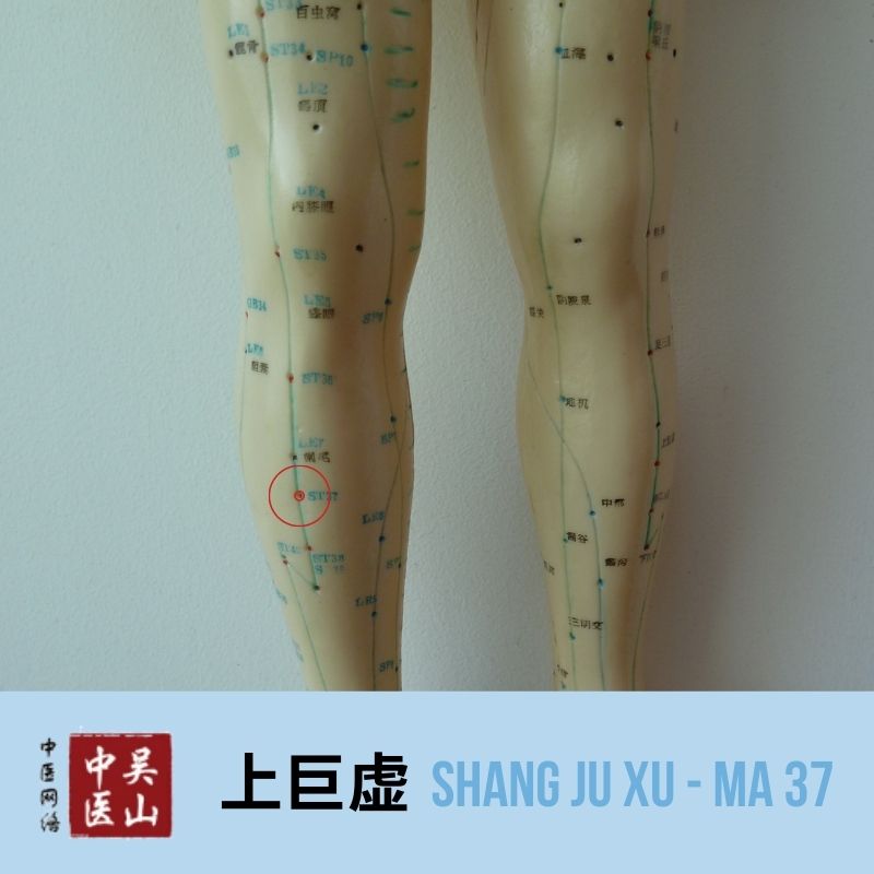 Shang Ju Xu - Magen 37