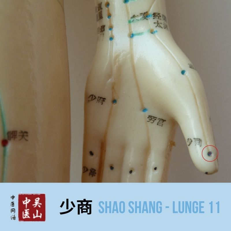 Shao Shang - Lunge 11