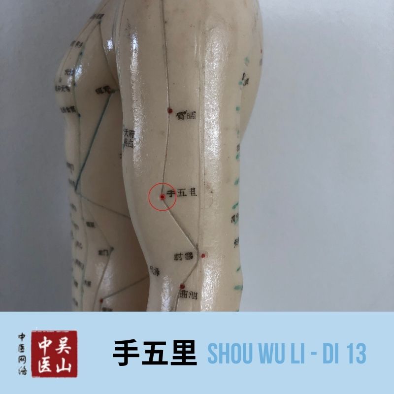 Shou Wu Li - Dickdarm 13