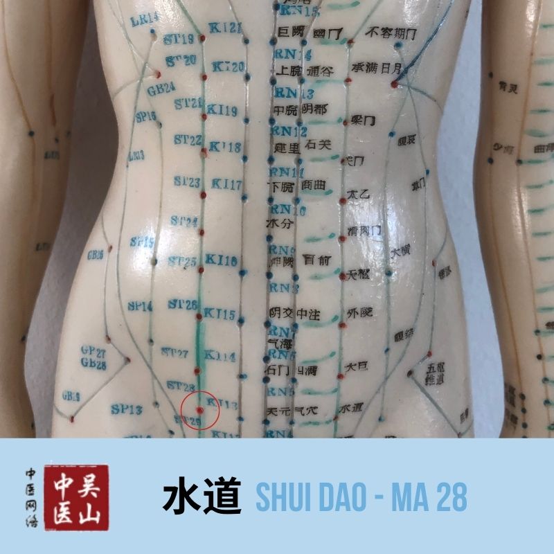 Shui Dao - Magen 28