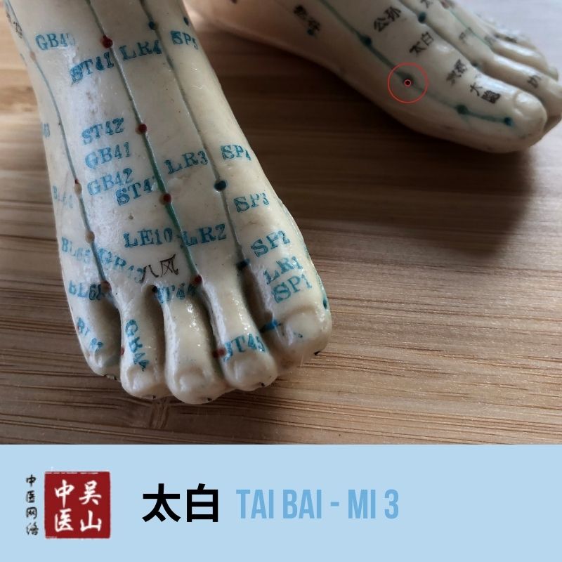 Tai Bai - Milz 3