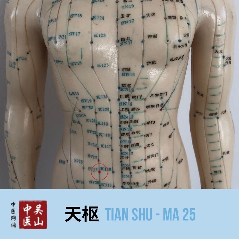 Tian Shu - Magen 25