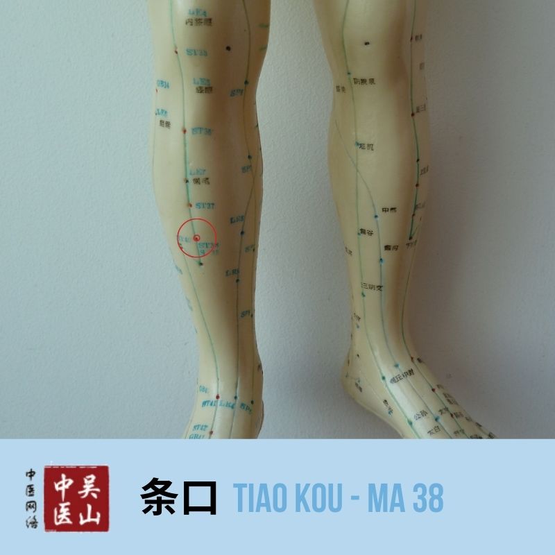 Tiao Kou - Magen 38