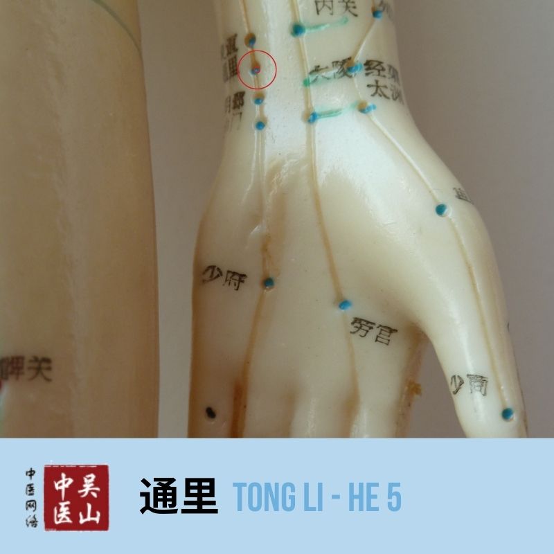 Tong Li - Herz 5