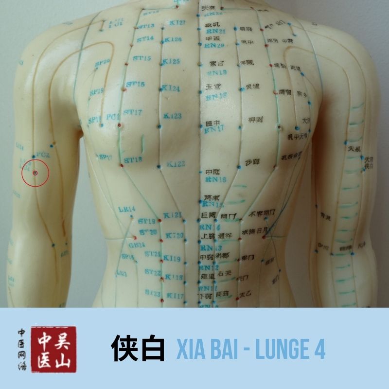 Xia Bai - Lunge 4