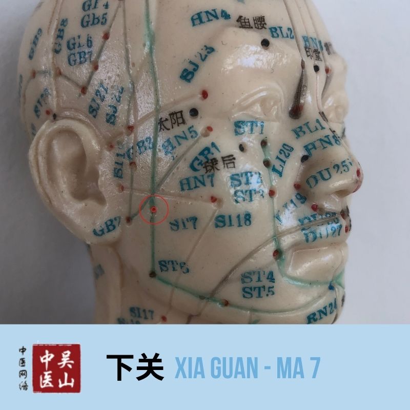 Xia Guan - Magen 7