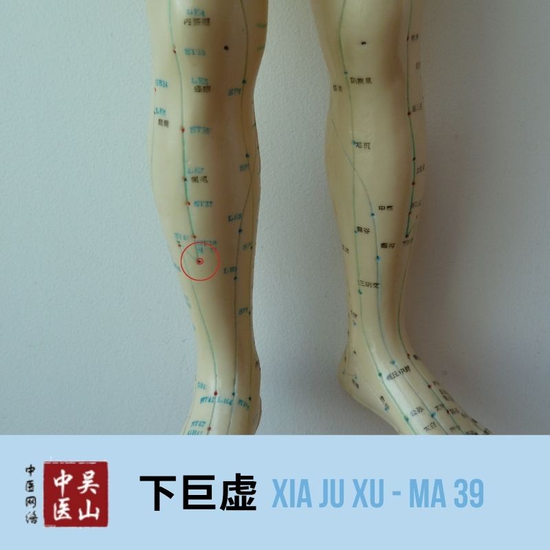 Xia Ju Xu - Magen 39
