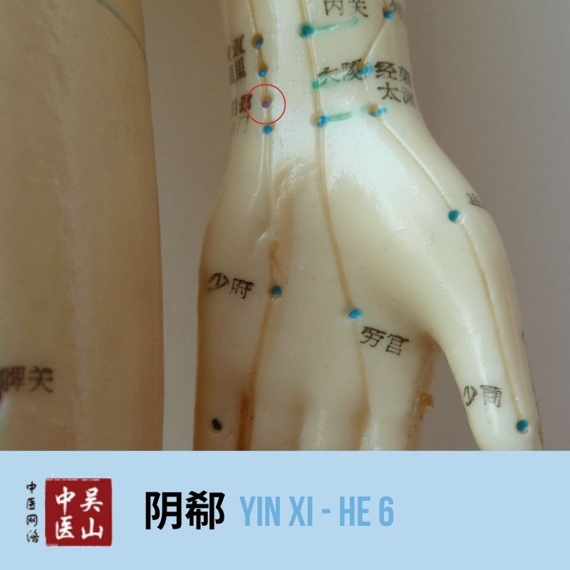 Yin Xi - Herz 6