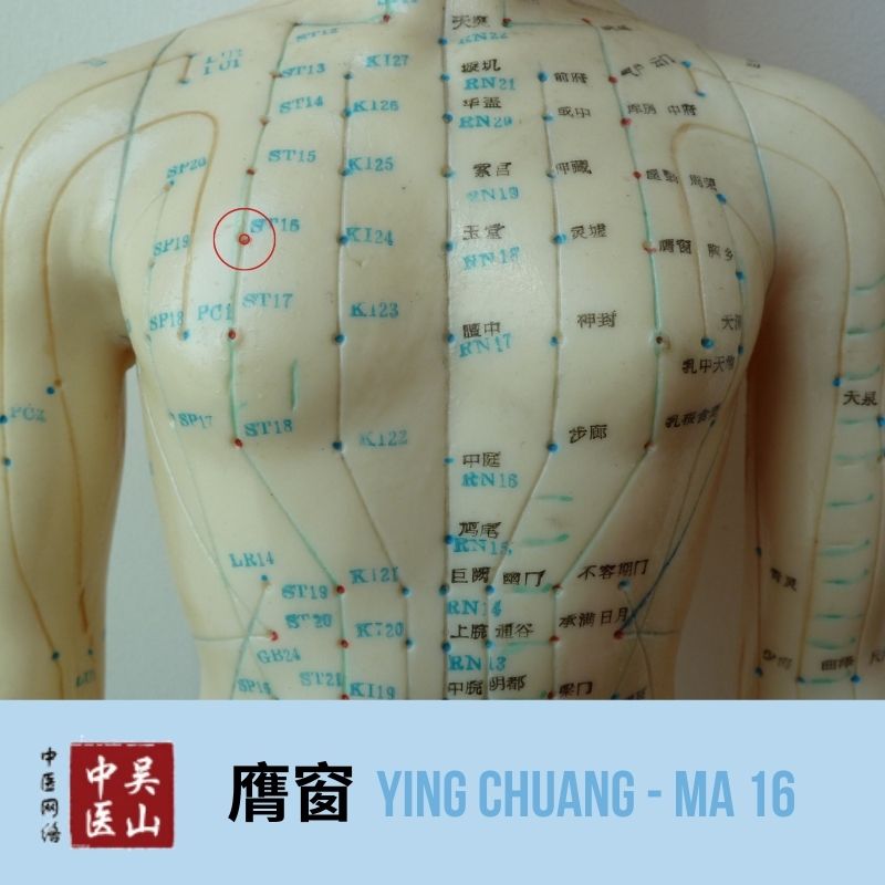 Ying Chuang - Magen 16