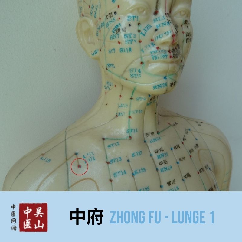 Zhong Fu - Lunge 1