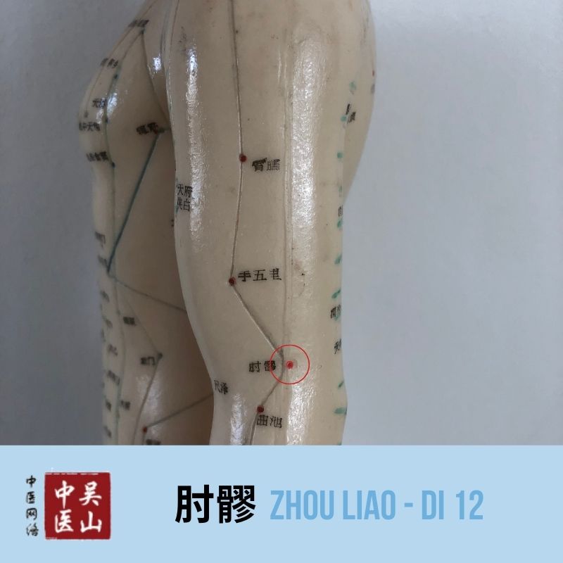 Zhou Liao - Dickdarm 12