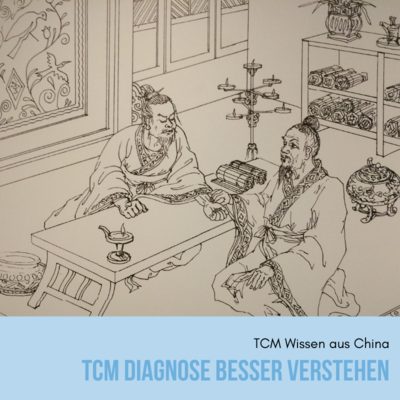 TCM Diagnose leichter verstehen